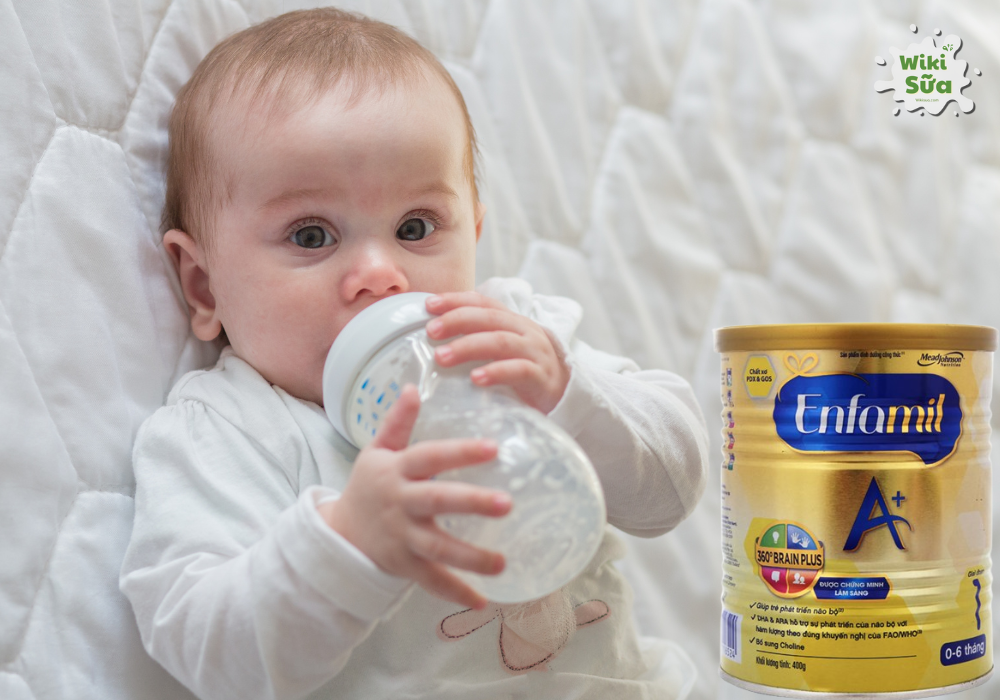Sữa công thức Enfamil A+ cho trẻ