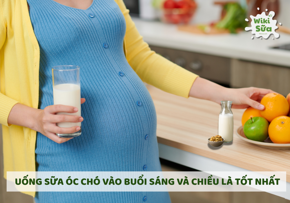 Uống sữa óc chó buổi sáng và chiều để hấp thụ dưỡng chất tốt nhất.