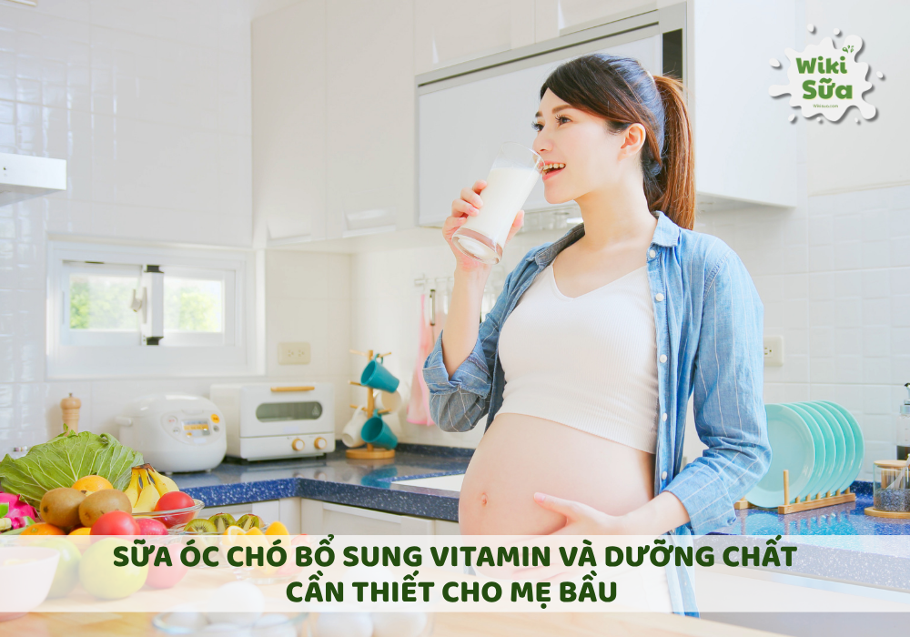 Sữa óc chó cung cấp vitamin E và nhiều khoáng chất trong thai kỳ