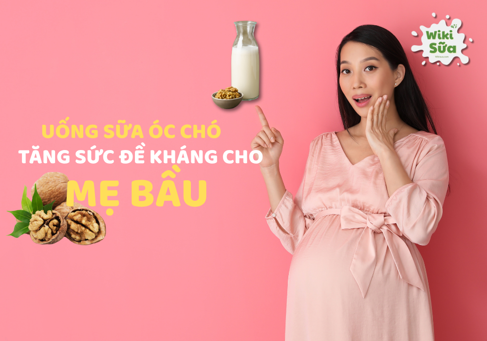 Sữa óc chó tăng cường hệ miễn dịch bảo vệ mẹ bầu khỏi bệnh tật.