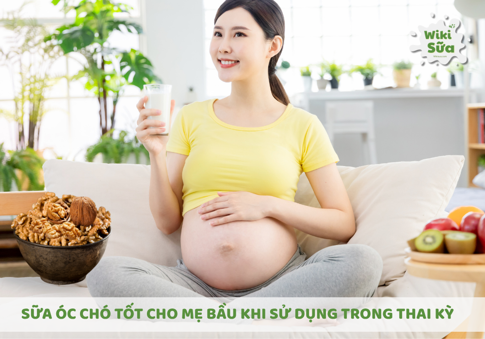 Sữa óc chó là thức uống bổ dưỡng an toàn cho mẹ bầu