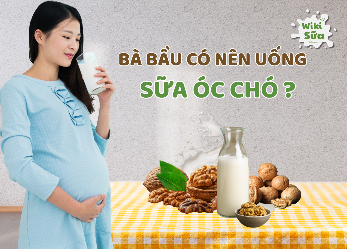 Bà bầu có nên uống sữa óc chó