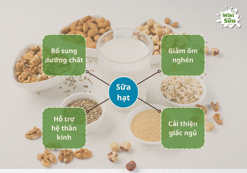 Những lợi ích từ sữa hạt dành cho mẹ bầu