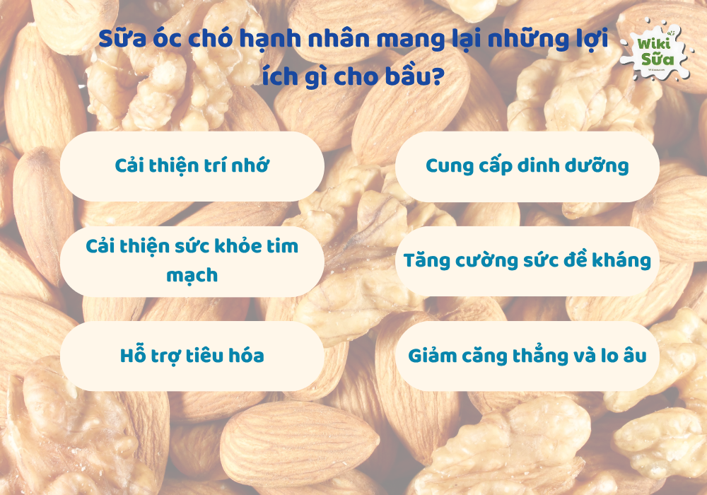 Lợi ích từ sữa óc chó hạnh nhân cho mẹ bầu