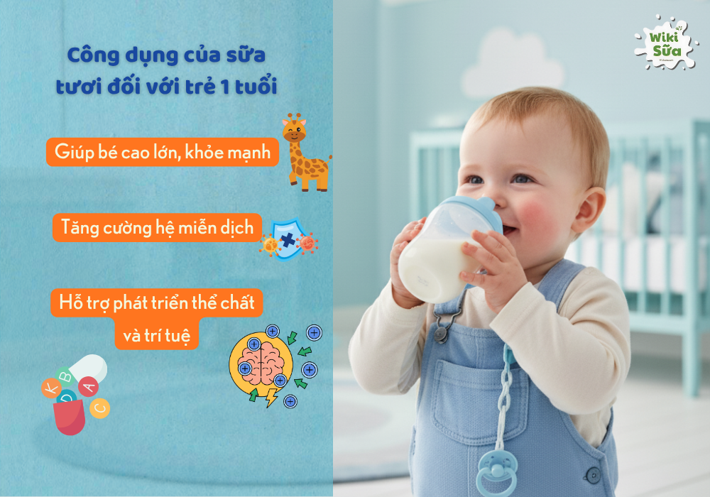Công dụng của sữa tươi đối với trẻ 1 tuổi