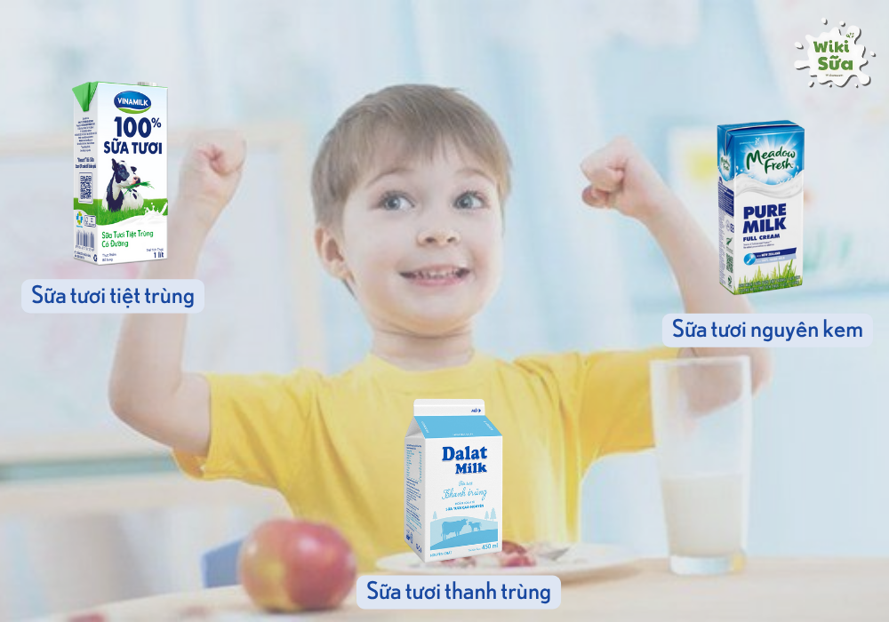 Các loại sữa tươi tốt cho bé 1 tuổi 