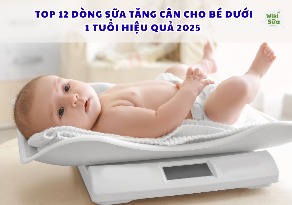 Các dòng sữa tăng cân cho bé dưới 1 tuổi