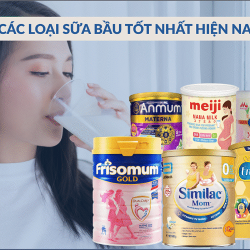 Các loại sữa bầu tốt nhất hiện nay, được mẹ Việt tin dùng 2025