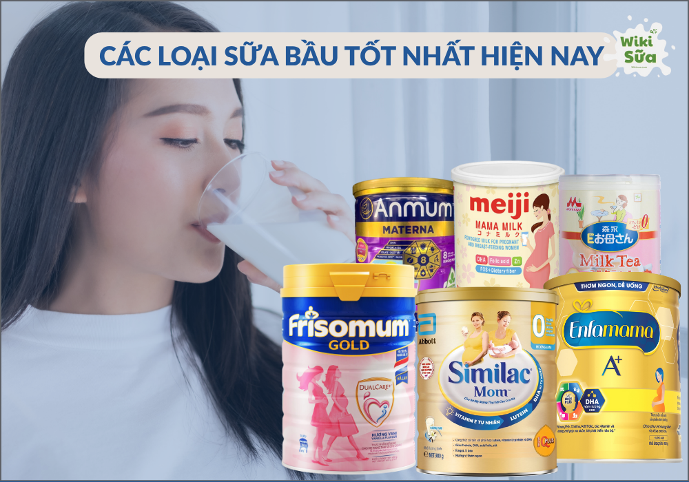 Các loại sữa bầu tốt nhất hiện nay