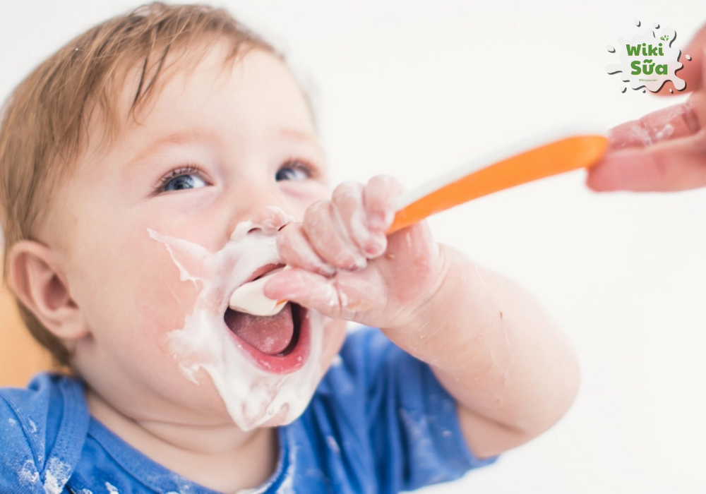Trẻ từ 6 tháng tuổi trở lên có thể bắt đầu ăn sữa chua