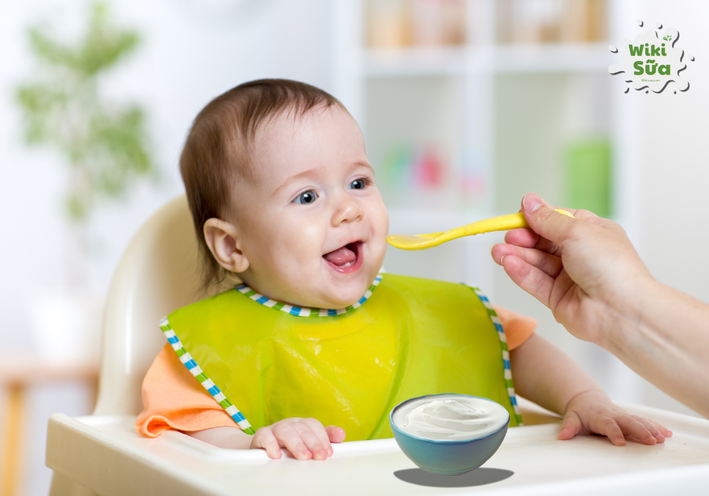 Sữa chua tự làm cho trẻ ăn dặm