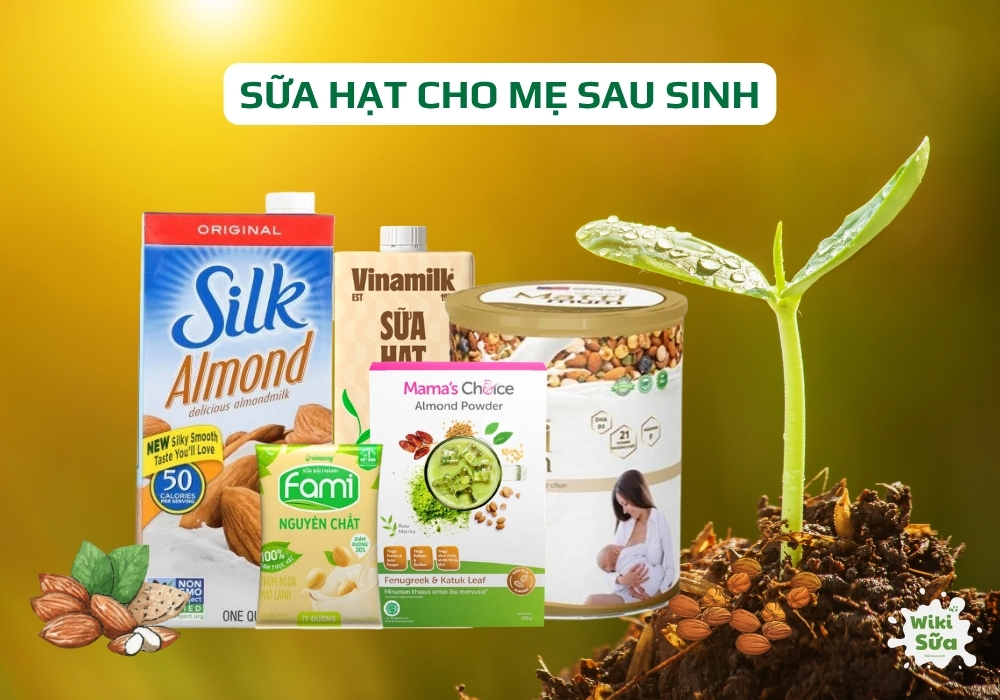 Sữa hạt cho mẹ sau sinh