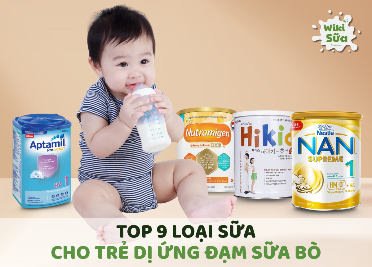 Top sữa cho trẻ dị ứng đạm sữa bò
