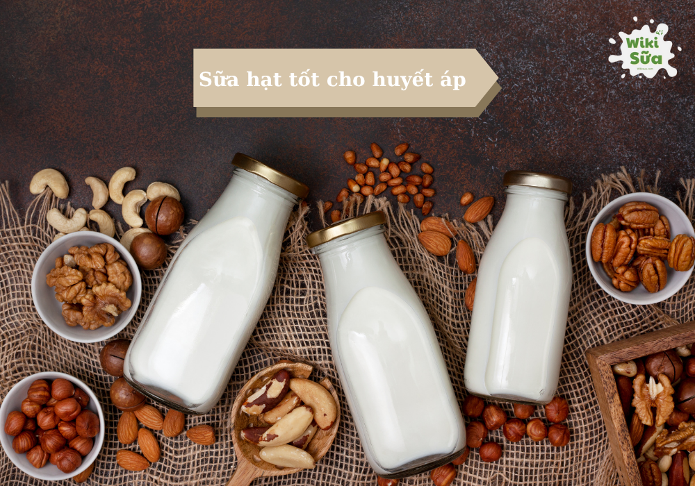 Gợi ý sữa hạt dành cho người bị cao huyết áp