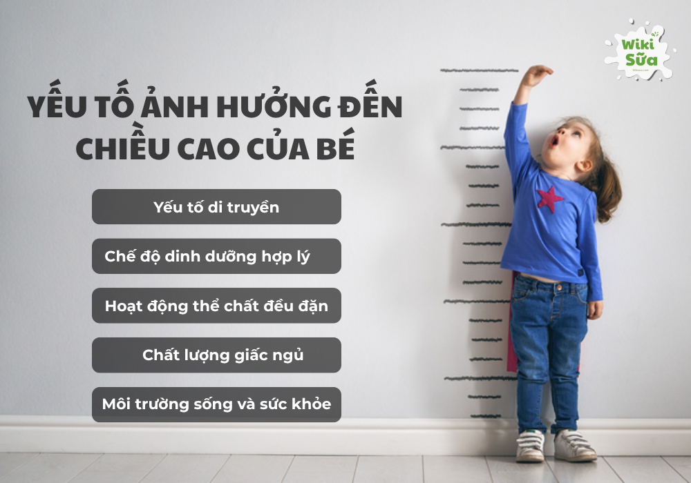 Yếu tố ảnh hưởng đến chiều cao của bé