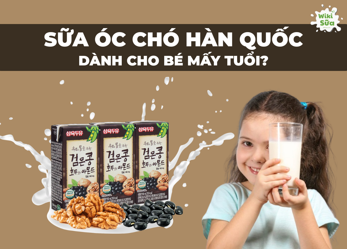 sữa óc chó Hàn Quốc dành cho bé mấy tuổi