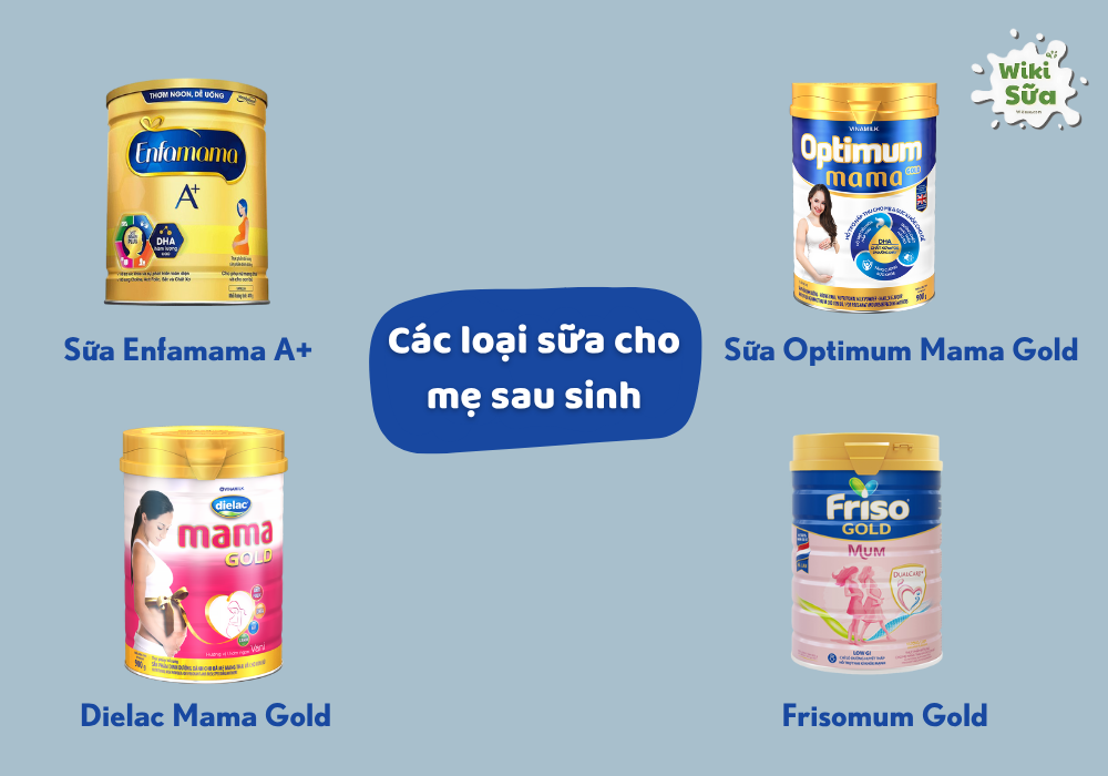 Các loại sữa tốt cho mẹ sau sinh