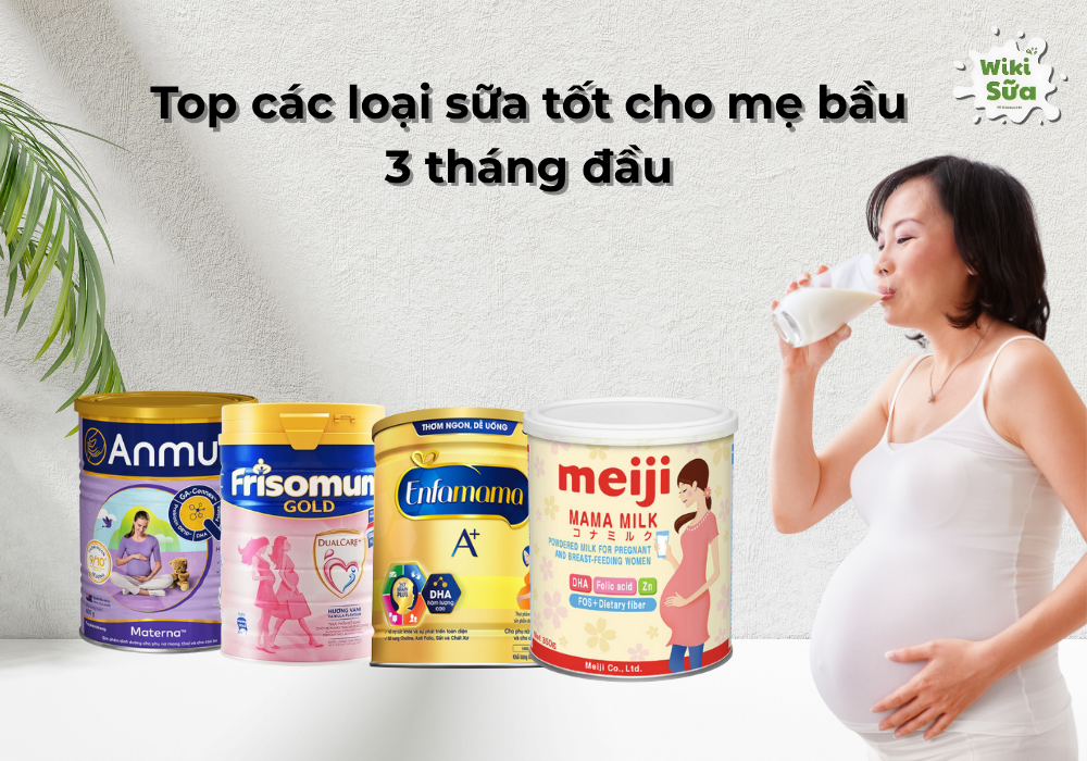 Gợi ý mẹ các loại sữa tốt cho mẹ bầu 3 tháng đầu thai kỳ