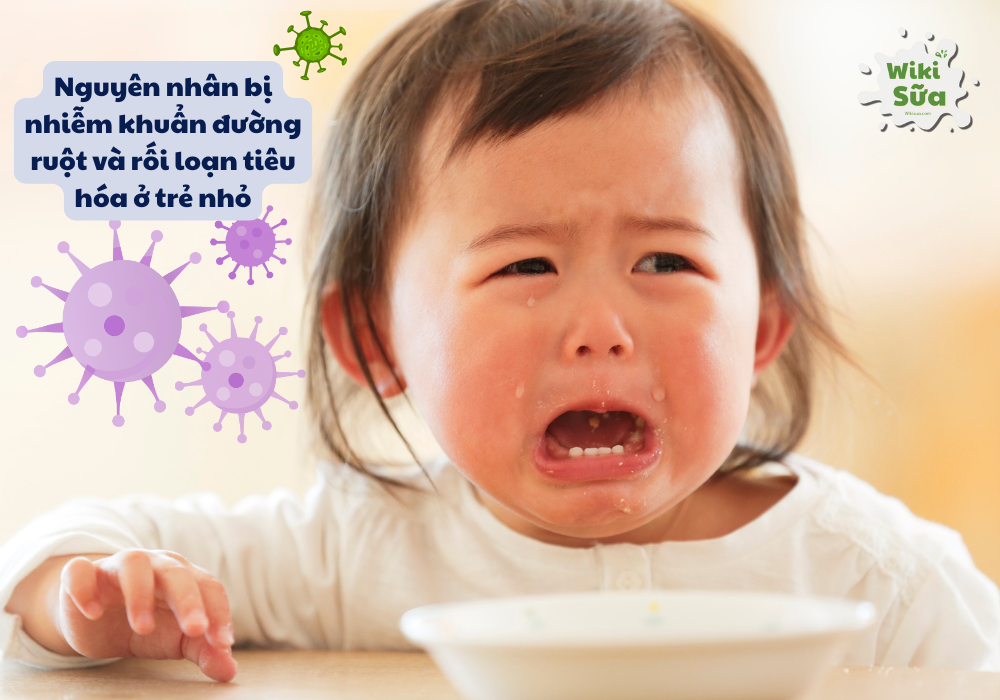 Nguyên nhân rối loạn tiêu hóa ở trẻ nhỏ