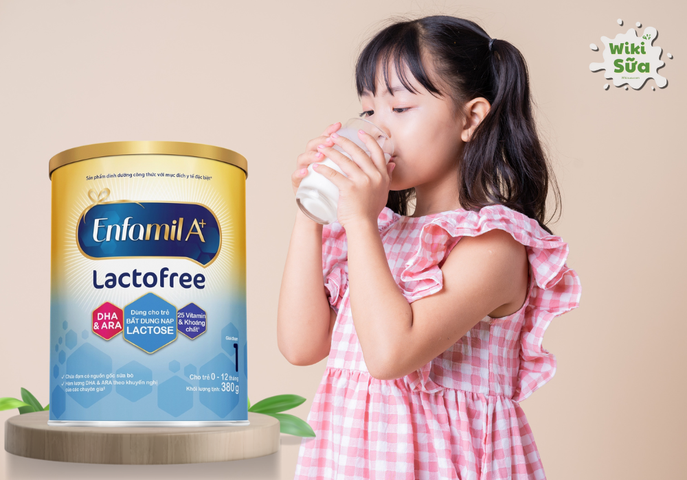 Sữa Enfalac LactoFree A+