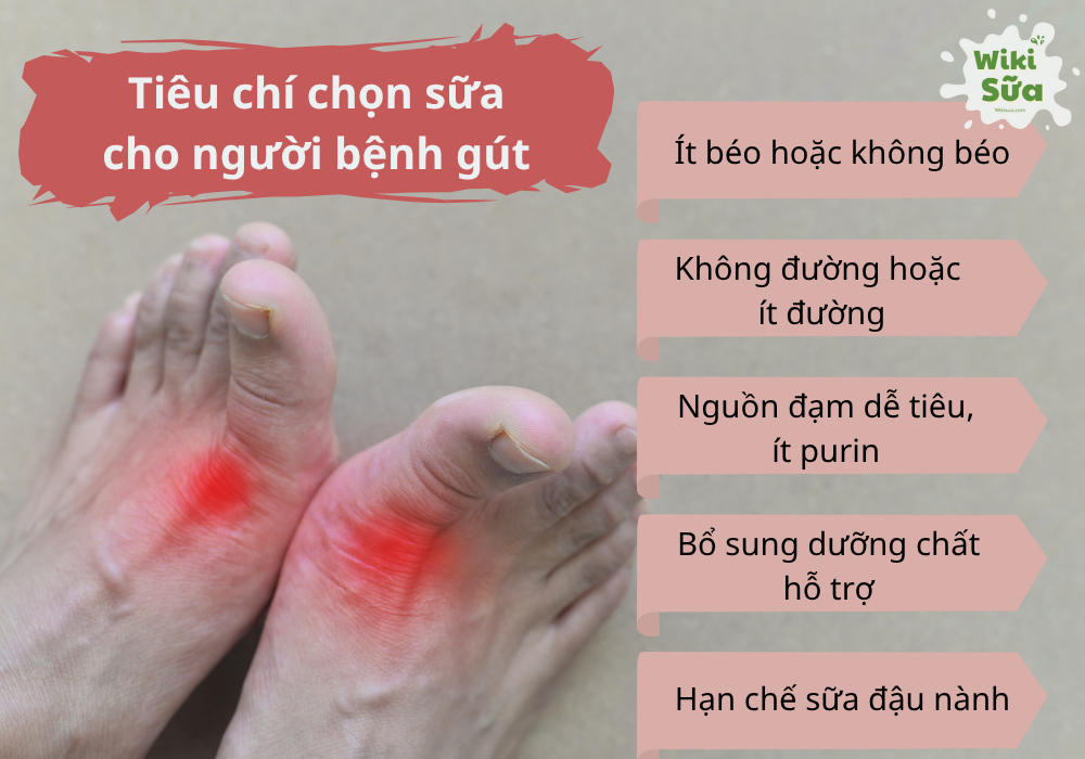 Tiêu chí chọn sữa cho người bệnh gút 