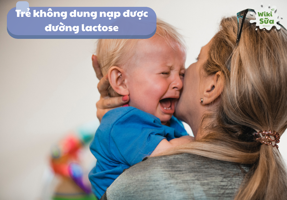 Sữa không có lactose