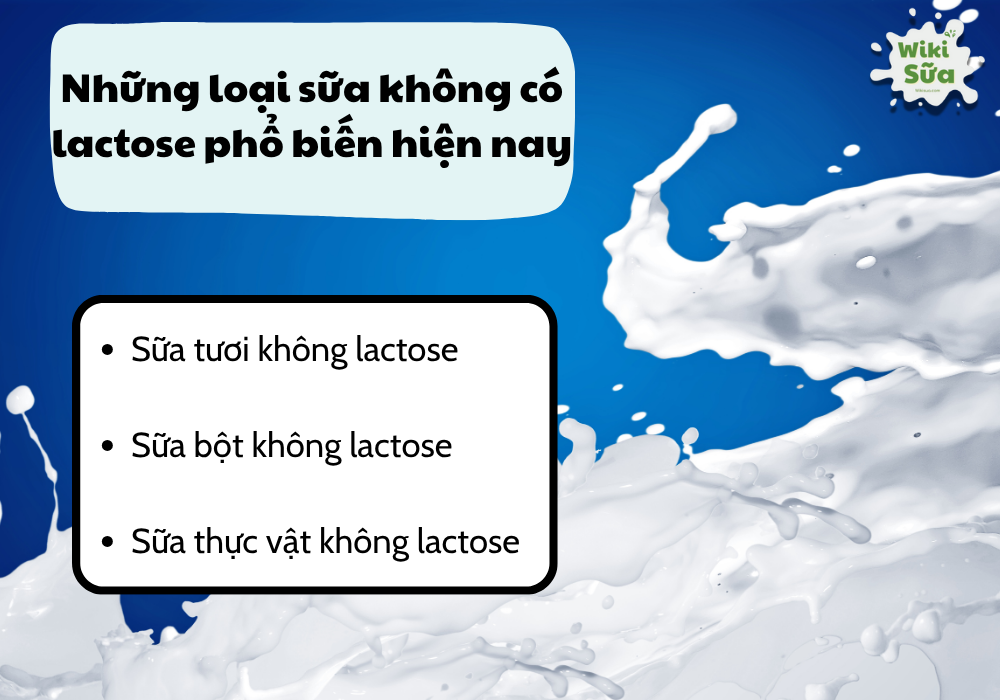 Những loại sữa không có lactose phổ biến hiện nay