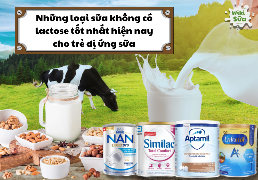 những loại sữa không có lactose