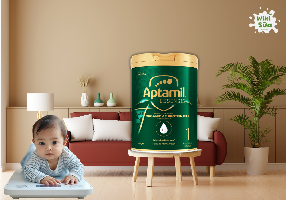 Tìm hiểu sữa Aptamil Essensis có tăng cân không 