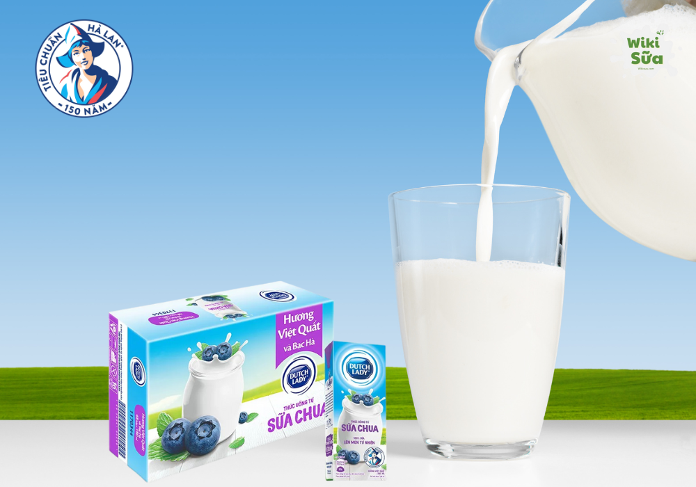 Sữa chua uống Dutch Lady vị việt quất và bạc hà