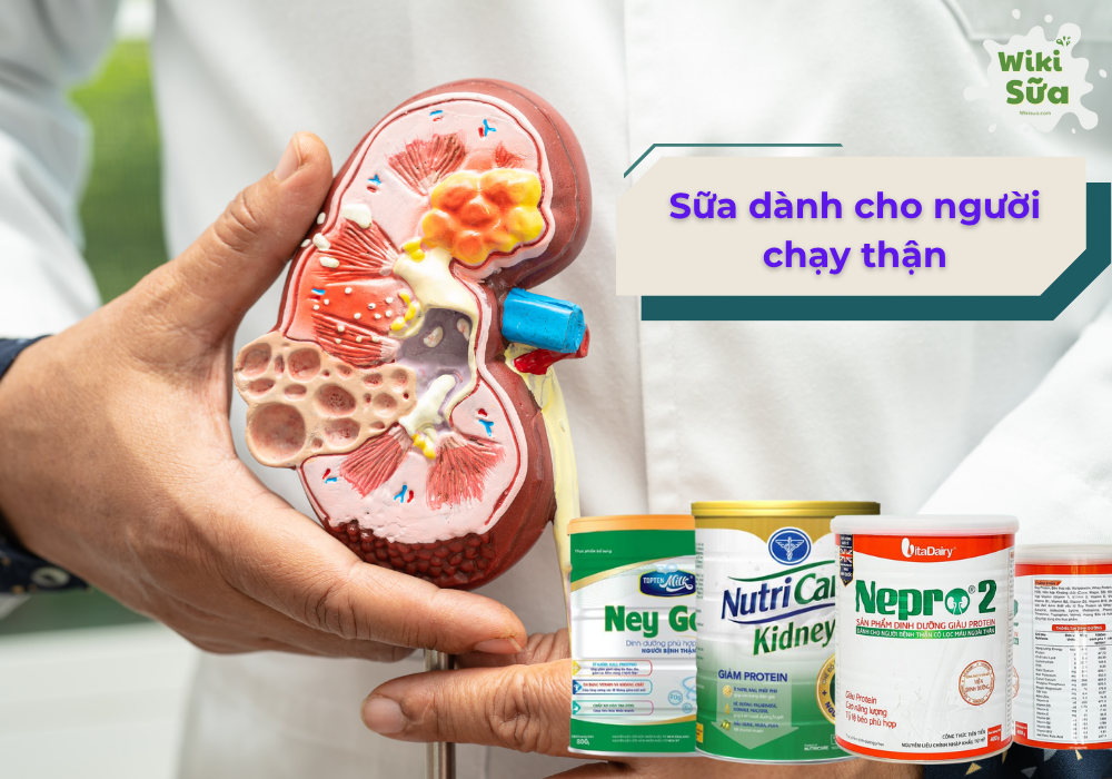Sữa dành cho người chạy thận