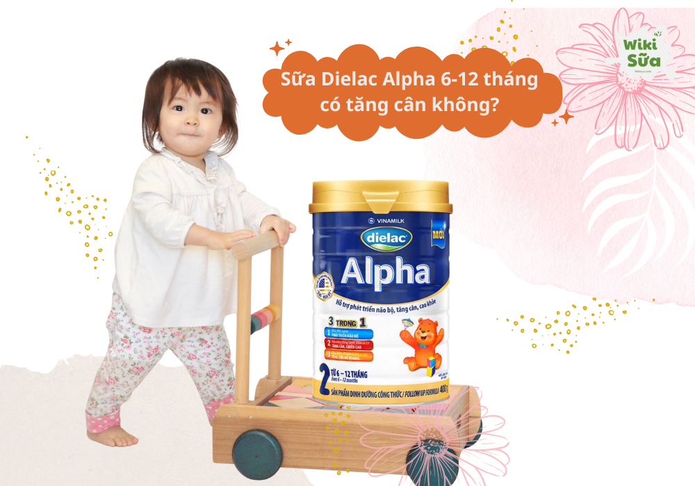 Sữa Dielac Alpha 6-12 tháng có tăng cân không? Giải đáp chi tiết cho mẹ