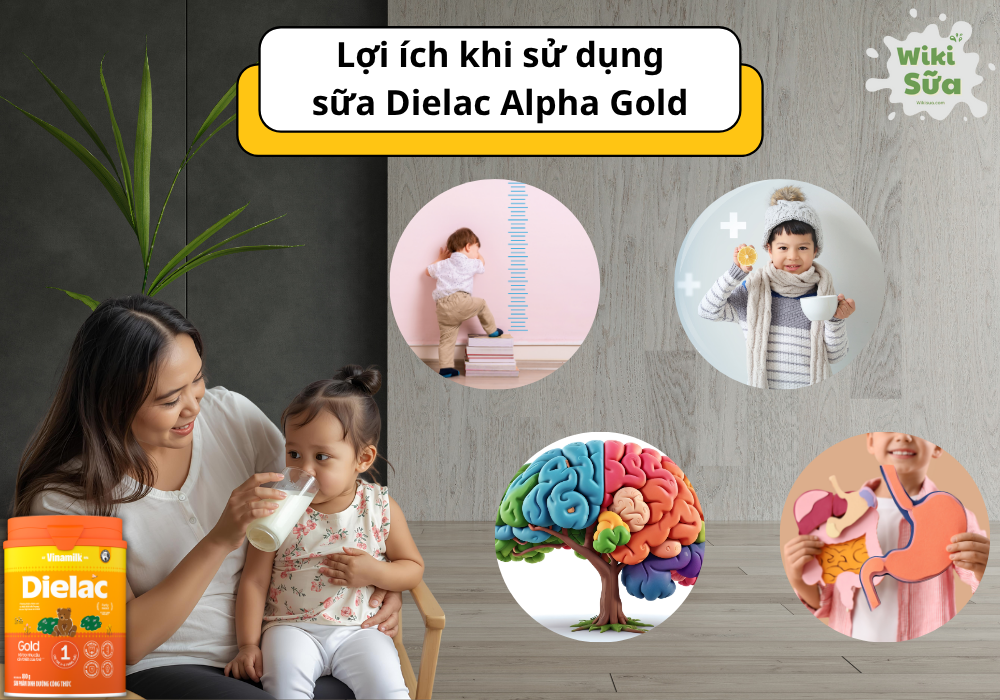 Lợi ích khi sử dụng sữa Dielac Alpha Gold 