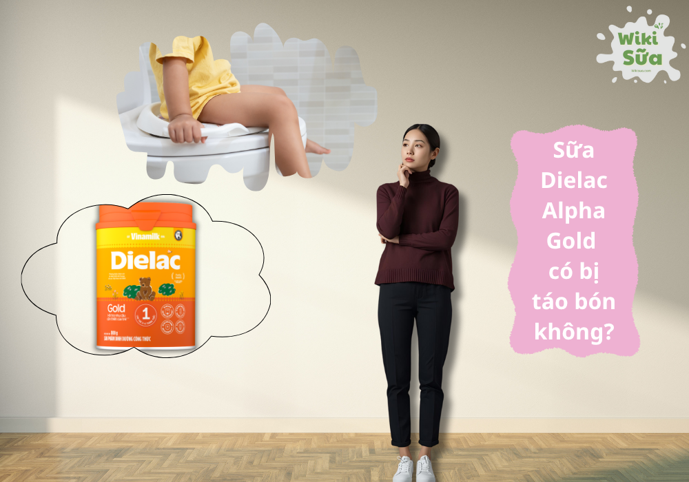 Giải đáp thắc mắc sữa Dielac Alpha Gold có bị táo bón không 