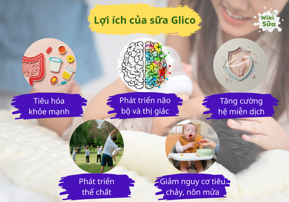 Lợi ích khi uống sữa Glico