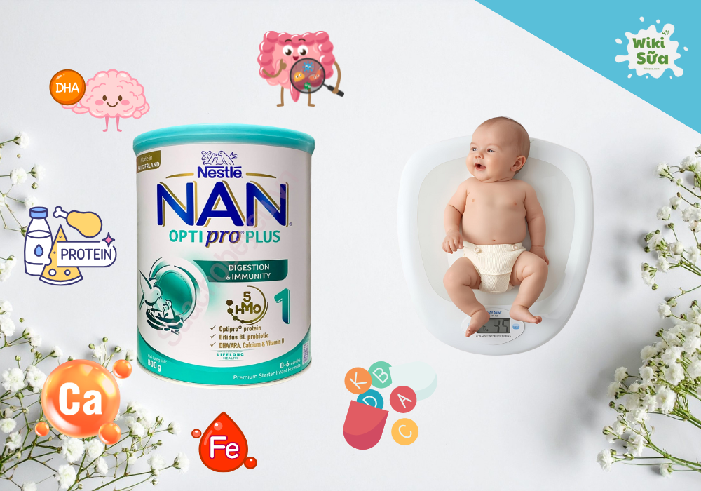 Thành phần dinh dưỡng trong sữa Nan Nga giúp trẻ tăng cân, phát triển tối ưu 