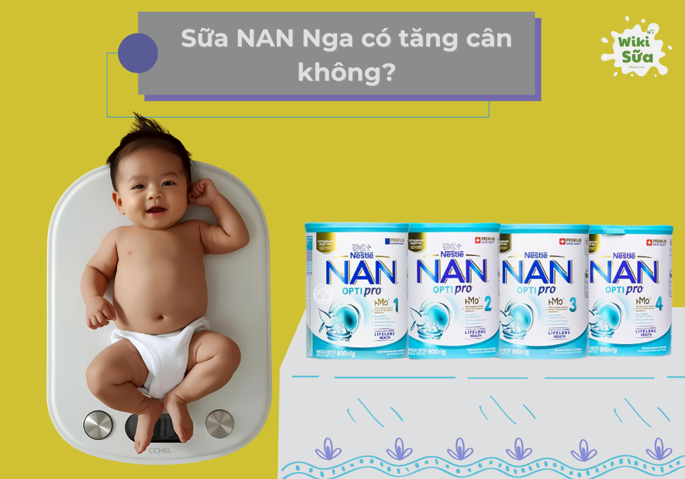 Sữa NAN Nga có tăng cân không