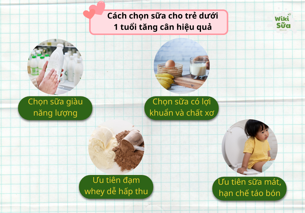 Cách chọn sữa cho trẻ dưới 1 tuổi tăng cân hiệu quả 