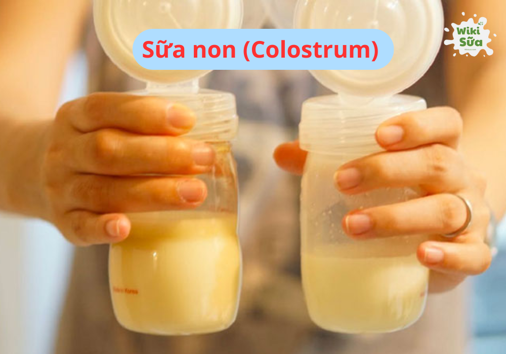 Sữa non Colostrum vacxin vàng cho trẻ sơ sinh