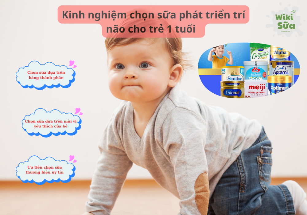 Kinh nghiệm chọn sữa phát triển chiều cao và trí não cho bé 1 tuổi 