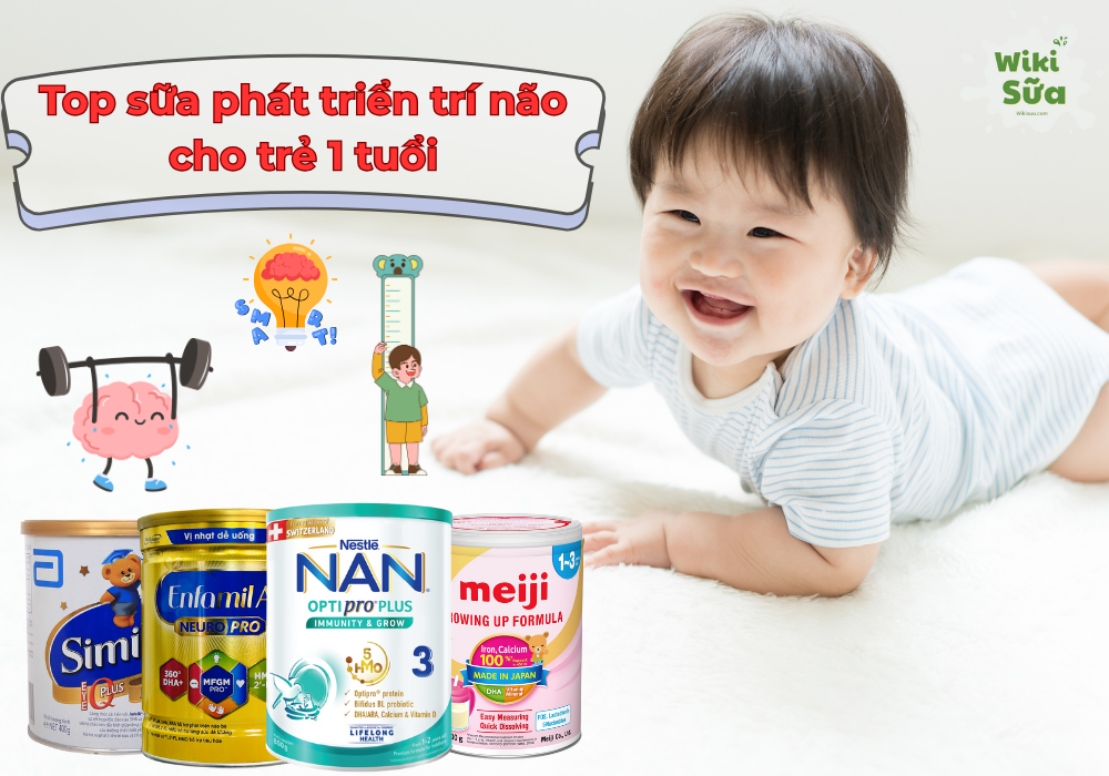 Sữa phát triển trí não cho trẻ 1 tuổi
