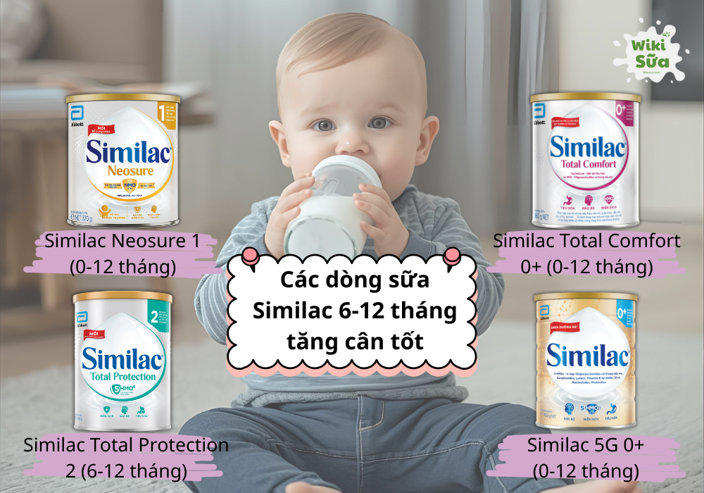 Tổng hợp các dòng sữa Similac 6-12 tháng tăng cân tốt nhất hiện nay