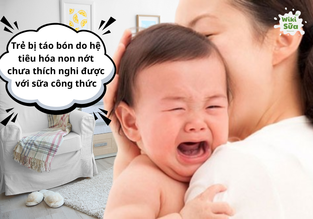 Táo bón ở trẻ sơ sinh là nỗi lo của ba mẹ