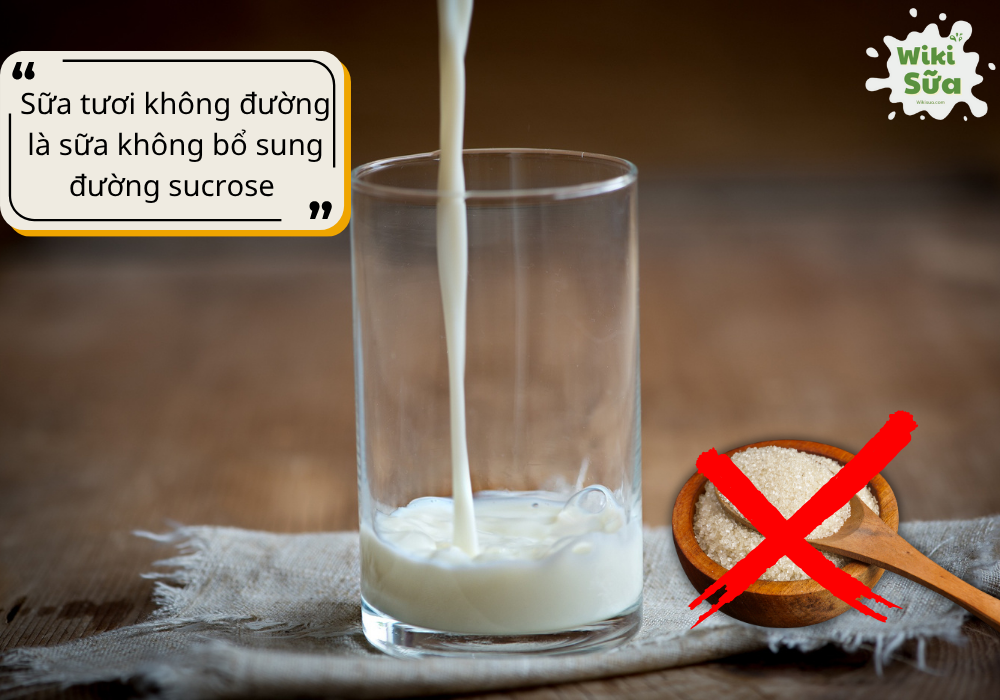Tìm hiểu về sữa tươi không đường