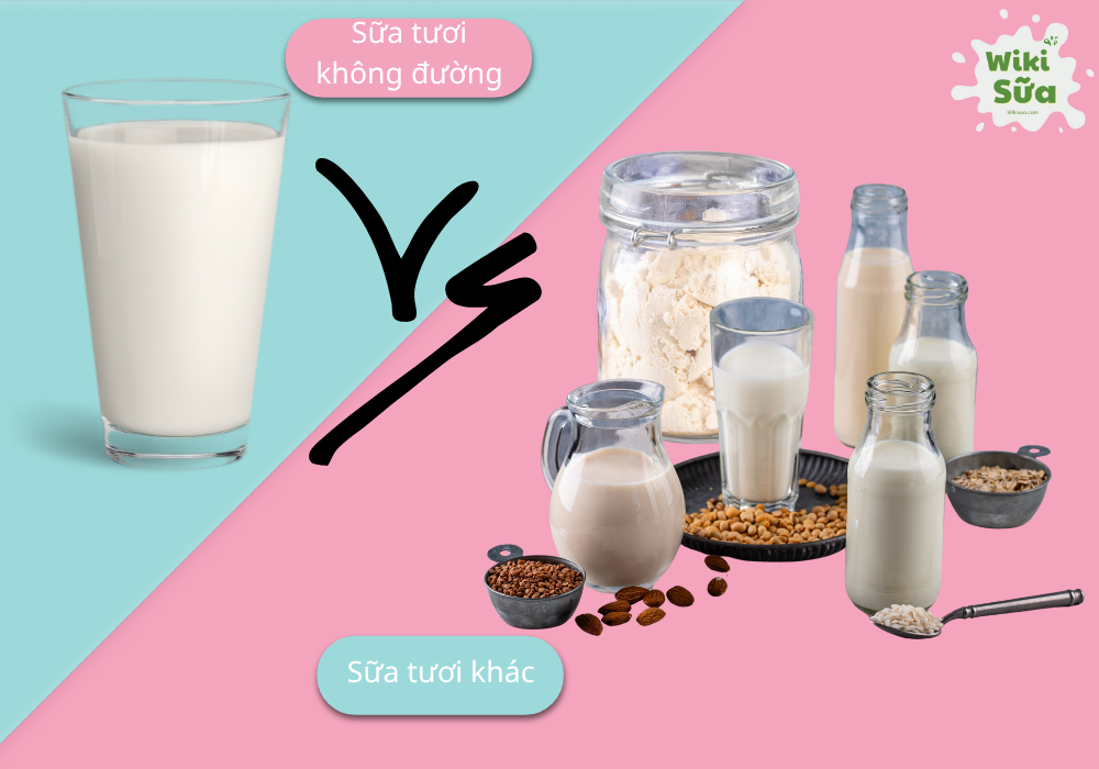 Phân biệt sữa tươi không đường với các loại sữa khác 