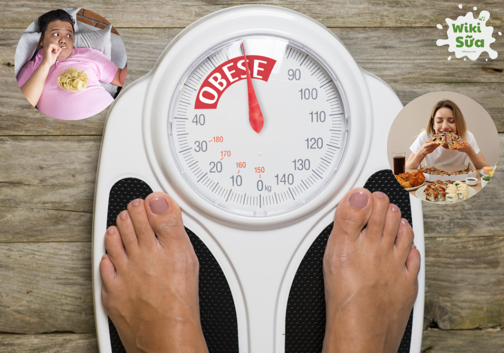 Nguyên tắc, lý do tăng cân 