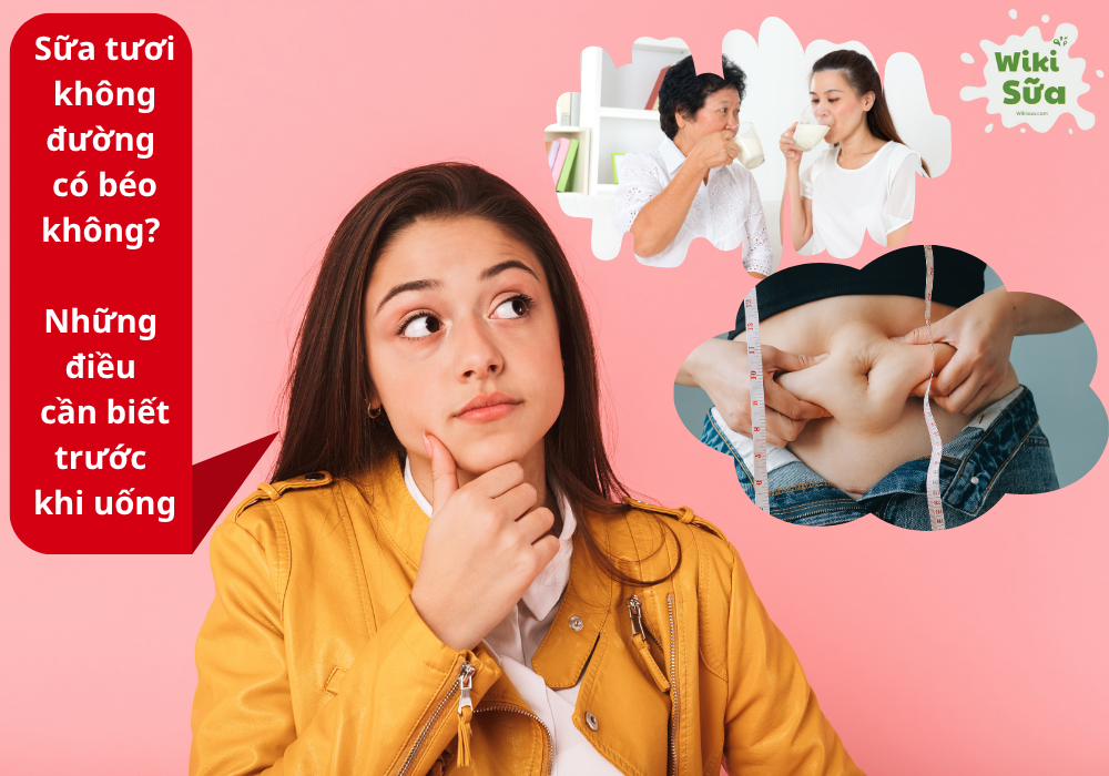 Tìm hiểu uống sữa tươi không đường có béo không