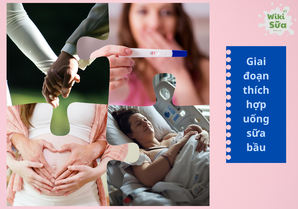 Giai đoạn thích hợp uống sữa bầu