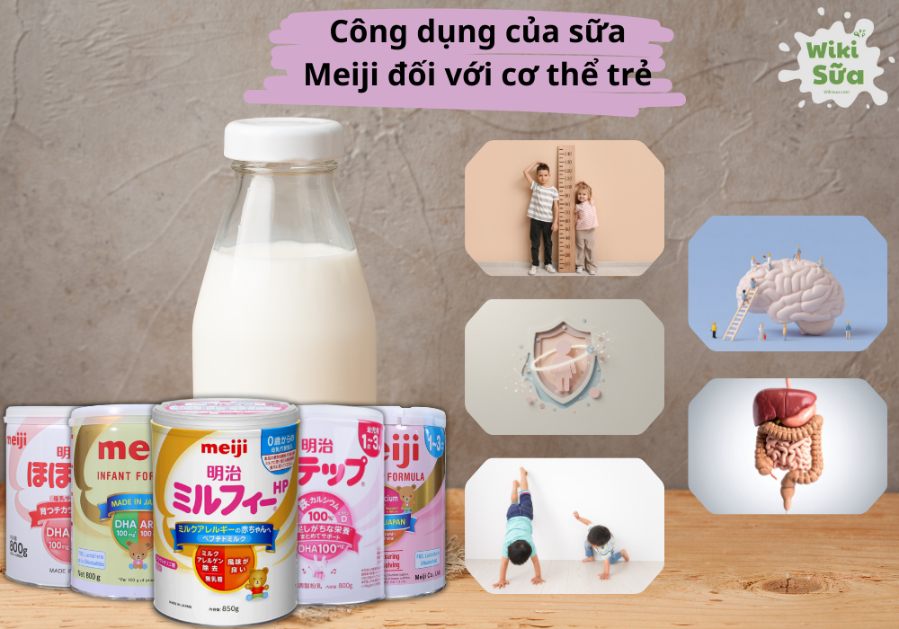 Công dụng của sữa Meiji đối với cơ thể trẻ 