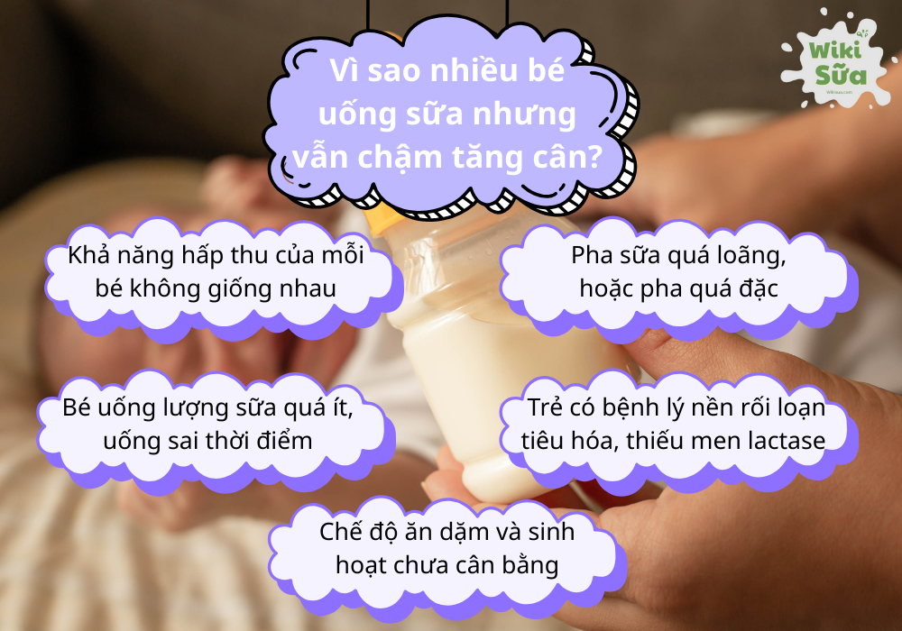 Tìm hiểu nguyên nhân vì sao nhiều bé uống sữa nhưng vẫn chậm tăng cân 